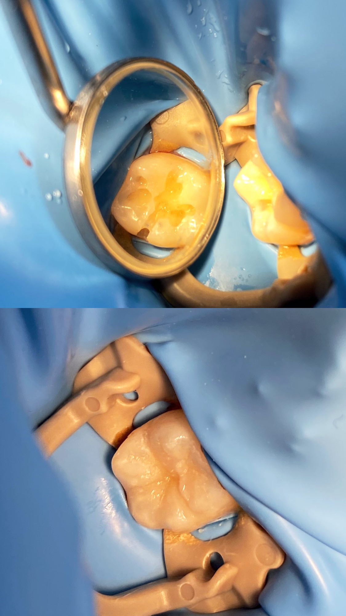 Работа Pro Stom